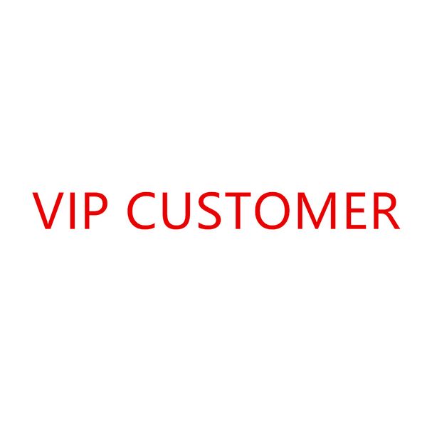 Il link speciale VIP solo per pagare può personalizzare per il vecchio cliente
