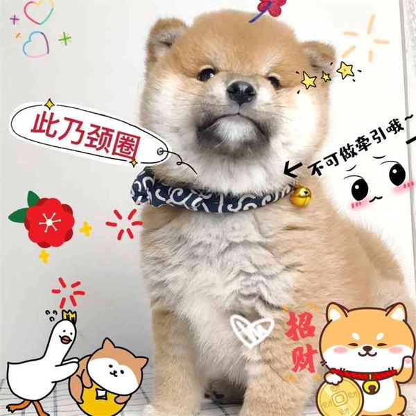 

factory hefeng chai akita tangcao japanese cat dog brand bell decoration collar