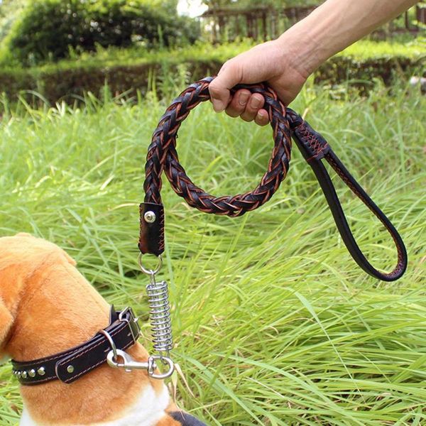 

pet traction rope eight-strand cowhide spring leash outdoor anti-rushing guide cable dog collars & leashes