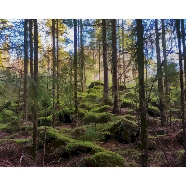 

paintings gatyztory frame forest landscape painting by numbers wall art canvas paint number for home decor