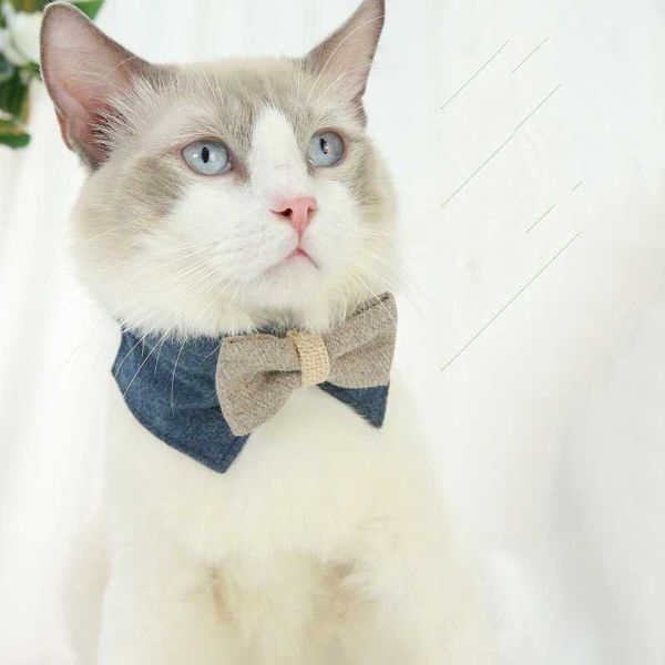 

gentleman pet collar thickened big bow tie comfortable felt cloth cat small and medium dog collars & leads