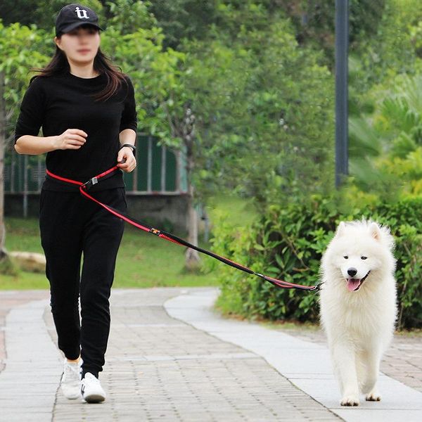 

dog collars & leashes two modes of use dogs leash elasticity y running pet products harness jogging lead and adjustable waist rope be p
