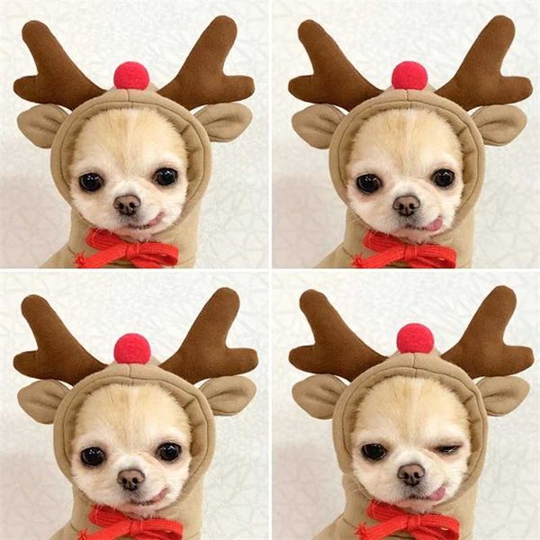 I vestiti autunnali e invernali dell'animale domestico alce di Natale si trasformano in Teddy Bichon Hiromi VIP gatto Schnauzer vestiti per cani di piccola taglia 211106
