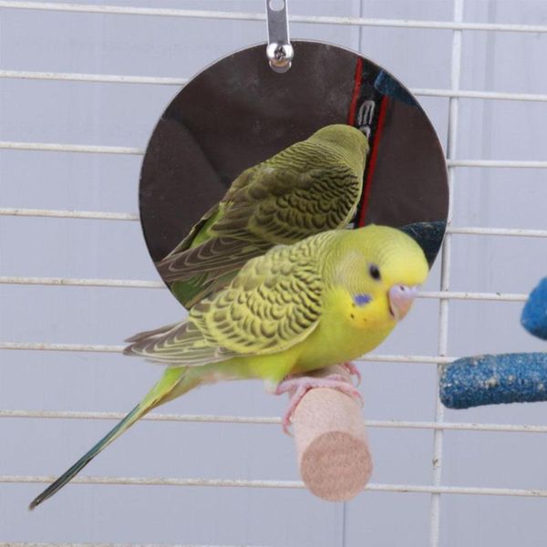 

other bird supplies toy station stick parrot swing stand with mirror birdcage accessories pet perch