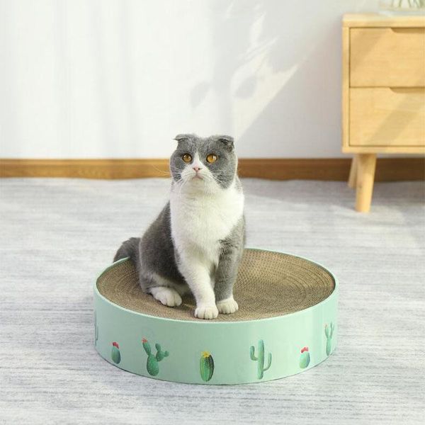

cat toys cactus scratch board with catnip lounge handmade cats scratcher scratching post interactive training toy for pet