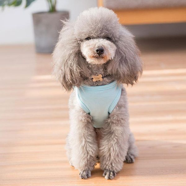 

dog apparel spring and summer leisure style pet clothing comfortable breathable fashion cute vest teddy small bichon