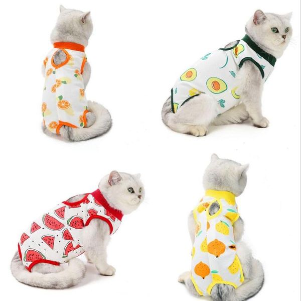 

cotton physiological cat clothes female sanitary jumpsuits prevent after wear anti pet licking wounds costumes