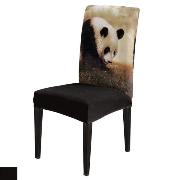 

chair covers dining animal cute panda cover spandex elastic el wedding supplies