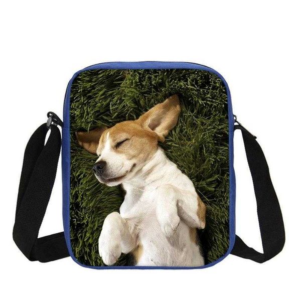 Borse Kawaii Donne Cogi Coin Dog Cat Animali domestici Borsa Canvas Borsa Portafoglio Portafoglio Portachiavi Portachiavi Deposito frizione di lusso per ragazze Regalo di Natale