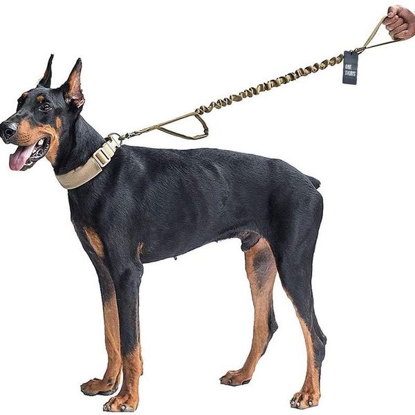 

dog collars & leashes tactical leash training