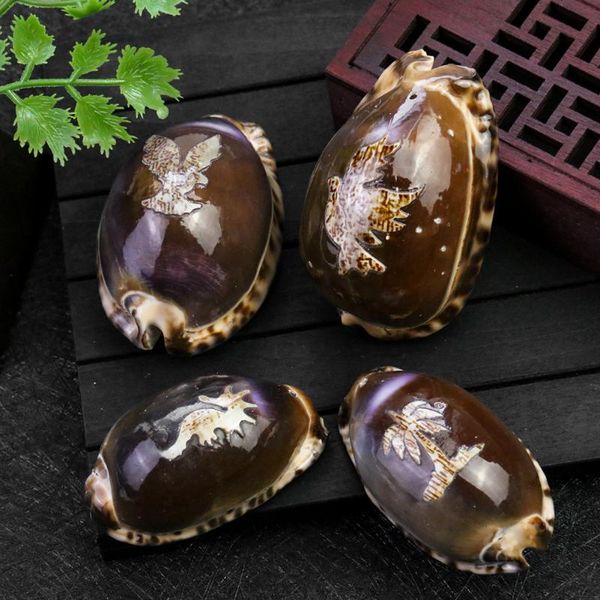 

charms natural conch pendant cameo animal shell eagle coconut tree seahorse diy necklace earrings dangle hanging room decoration, Bronze;silver