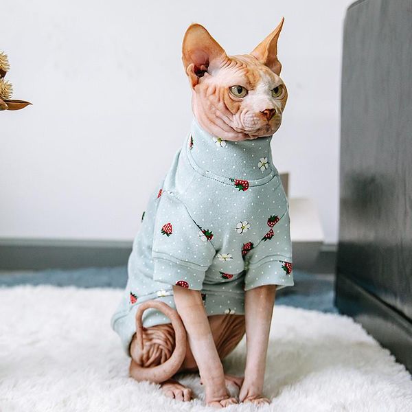 

cat costumes hairless clothes autumn and winter warm bottoming shirt sphinx german cotton sweater accessories