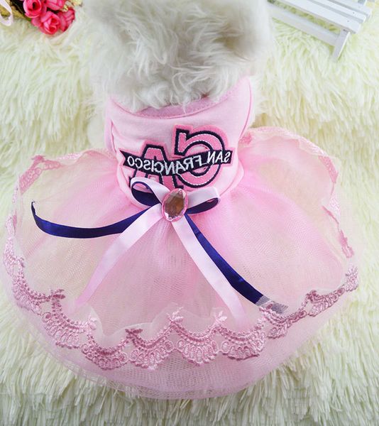 

dog dress in spring and summer