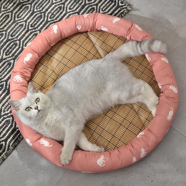 

cat beds & furniture dog bed four seasons general summer full removable washable net red ins wind litter bichon kennel supplies