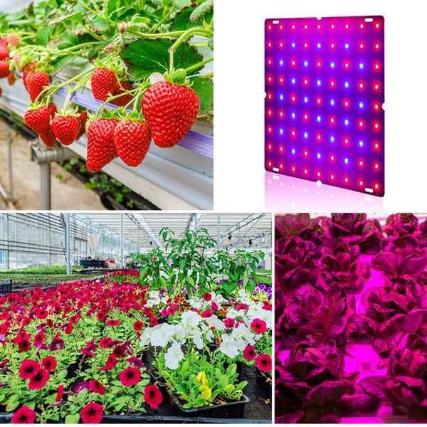 Lampenabdeckungen Shades Ly Indoor-Pflanzenwachstum LED-Licht fördern die Posynthese für die Keimung von Sämlingen und die Blüte.