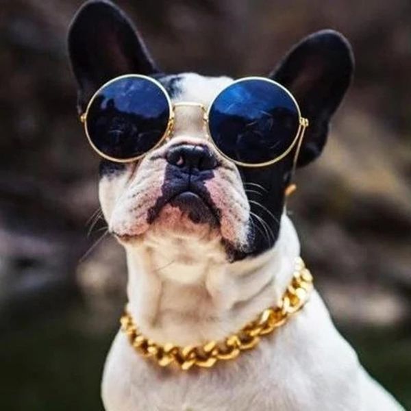 

pet dog necklace collars thick gold metal chain traction belt walking training tool #t1p & leashes