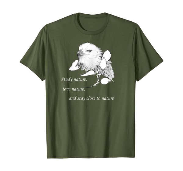 

Bald Eagle. Study nature, love nature, stay close to nature, Mainly pictures