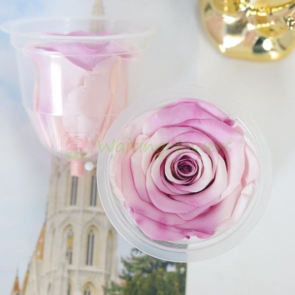 

decorative flowers & wreaths 1pcs eternal rose class a 5-6cm diy material package car hanging glass decoration gift life flower