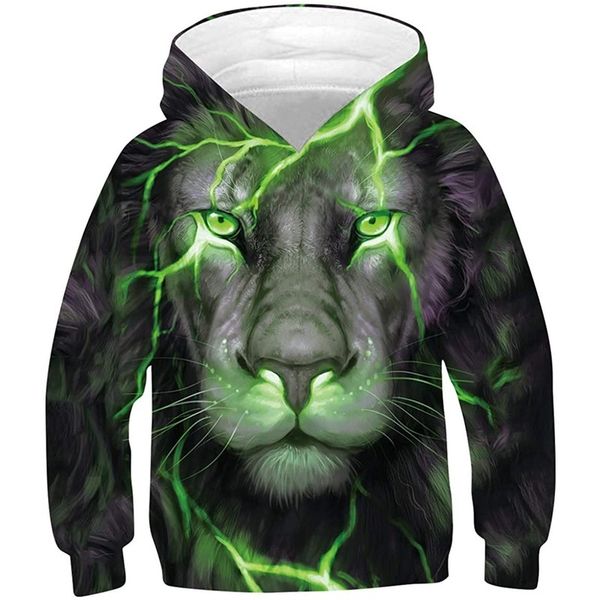 

green lion king pattern comfortable men's and women's novelty hoodie 3d printing pullover hooded sweater with pocket 100-160, Black