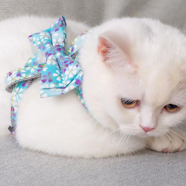 

pink cute butterfly cat harness chest strap nylon ribbon adjustable collar leads leash collars &