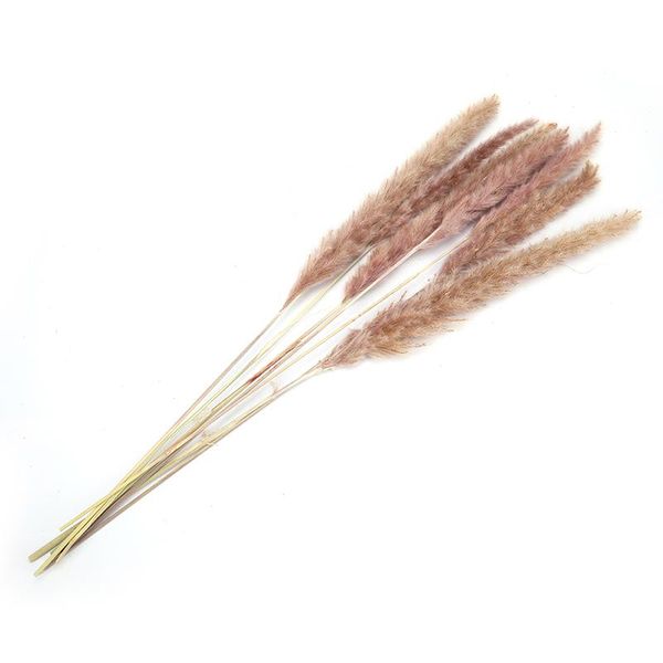 

decorative flowers & wreaths 5pc 80cm natural reed dried flower big pampas grass bouquet wedding ceremony decoration modern home