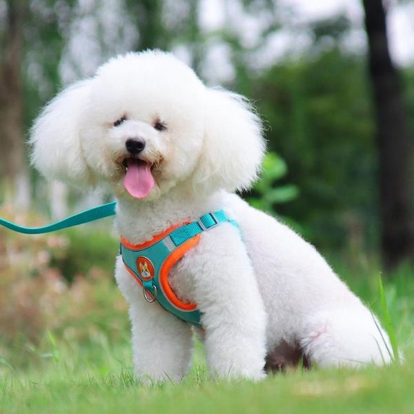 

dog collars & leashes compact 1 set useful skin-friendly pet walking harness vest faux suede leash adjustable for cat