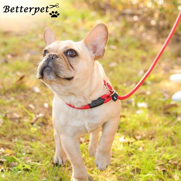 

dog collars & leashes nylon training leash dogs p chain pet slip collar rolled lead small walking leads rope for chihuahua pug