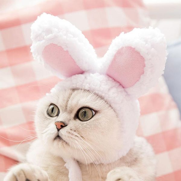 

cat costumes cute headgear seconds change festival play pet hat ears performance props funny headwear soft washable