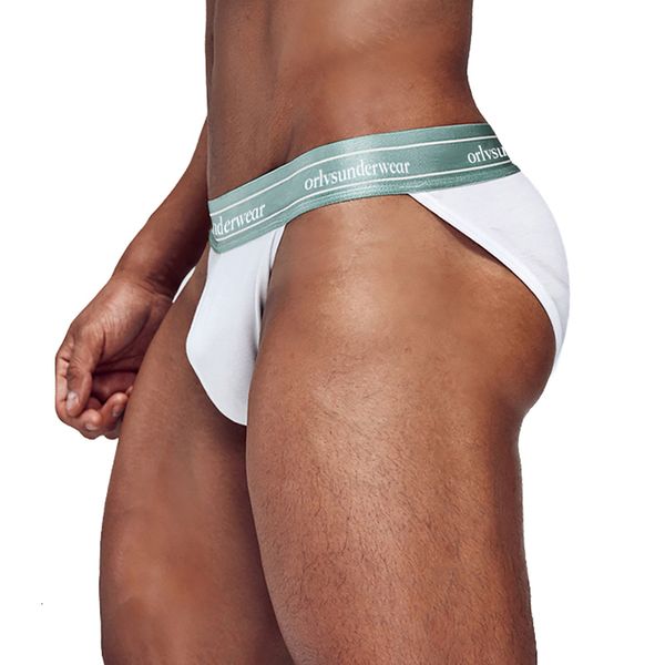 

brand mens underwear cotton cuecas male panties men underpants mesh solid low waist men's lingerie briefs, Black;white