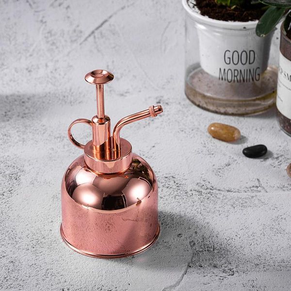 

watering equipments 300ml retro mini stainless steel can indoor plants succulents pot home office potted plant garden tool