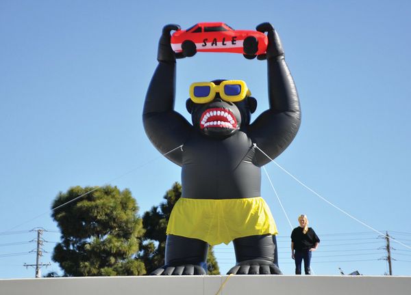 

promotional customized outdoor giant activity black inflatable kingkong gorilla chimpanzee animal model with holding car for advertising