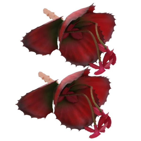 

hooks & rails 2pcs potted plant home decor decorative succulent bonsai