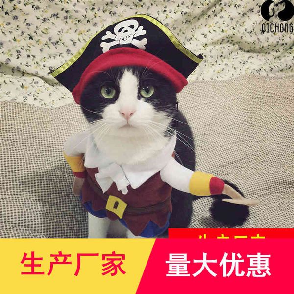

pet dog pirate disguise general two legged pet cloth strange cute
