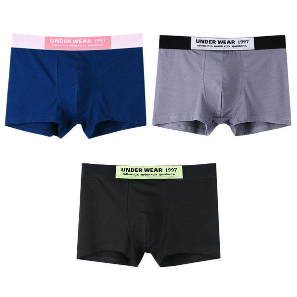 

underpants men's boxer briefs cotton men underwear panties for two three fashion youth calzoncillos man clothes majtki meskie, Black;white