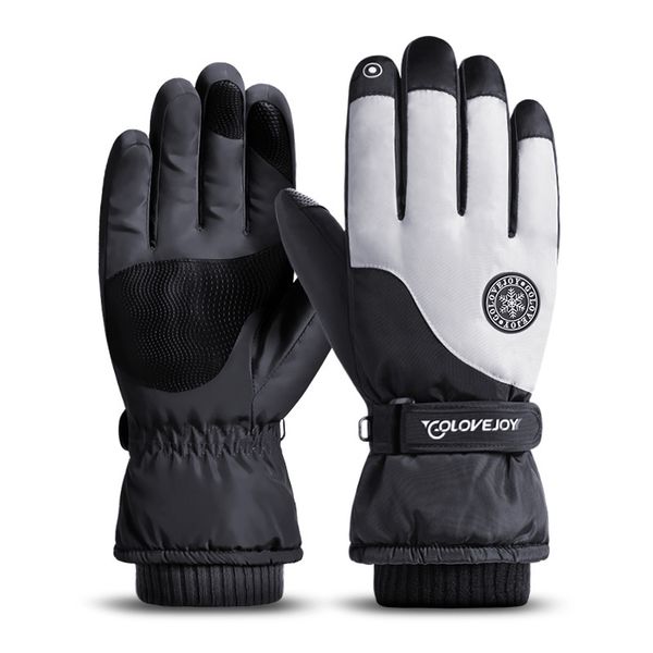 

new style fleece lined keep warm screen touch ski gloves memory fabric glove for men and women, Blue;gray