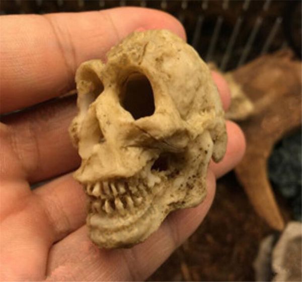 Decoração de festa de fábrica 1,8 polegada resina crânio cabeça pequena artesanato engradador de esqueleto ornamento de halloween adereços favores brinquedos diy acessórios