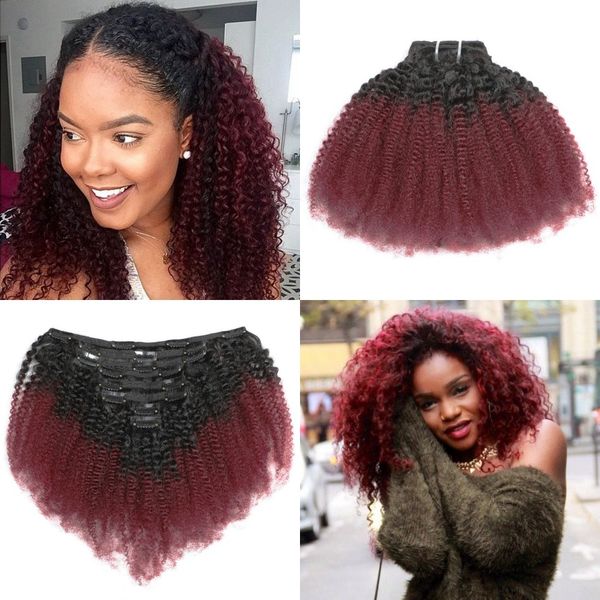 

120g afro kinky curly clip in human hair extensions brazilian remy hair 4b 4c 8pcs t1b/99j clips ins, Black;brown