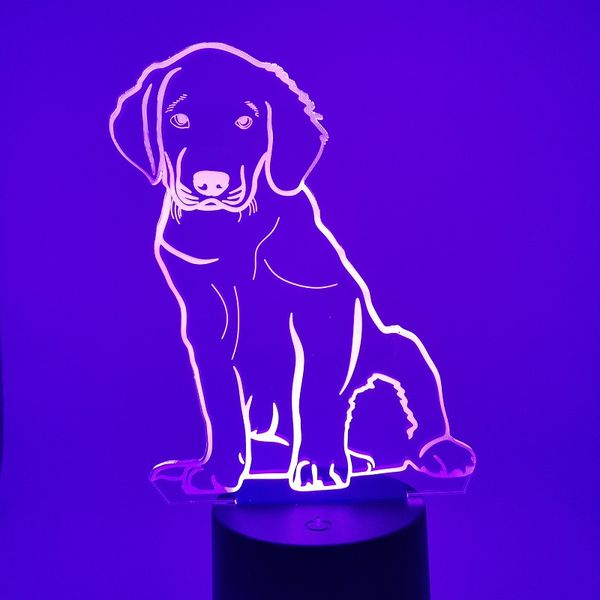 

led night light for bedroom decor laser engraving golden retriever nightlight kids child birthday gift 3d color changable lamp