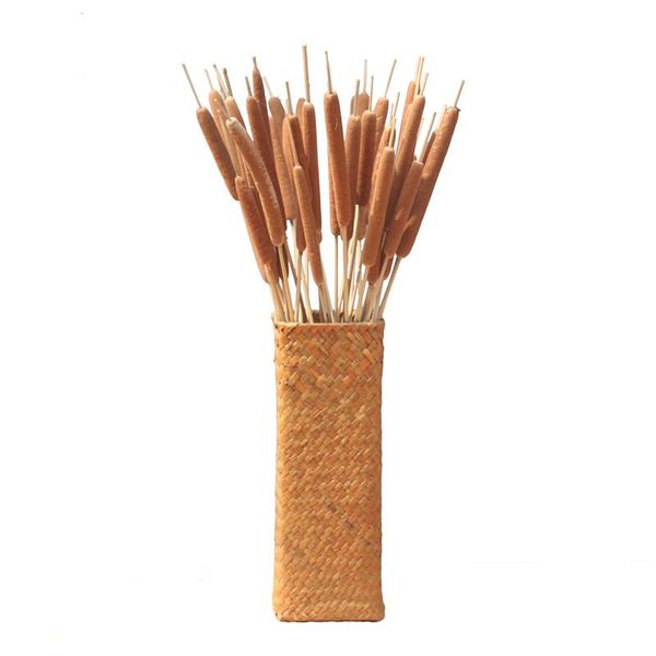 

10pcs reed stick home art decor pure natural plants cattail dried exhibit design use flowers decorative & wreaths