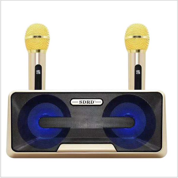 SD301 Bluetooth Hoparlör Aile KTV Sing Bar One El Mikrofon Koro Karaoke Kartı FM