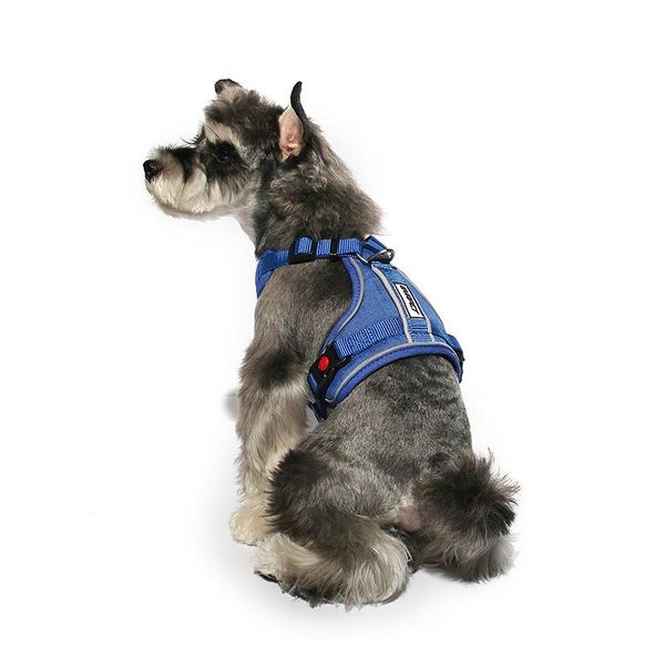 

dog collars & leashes