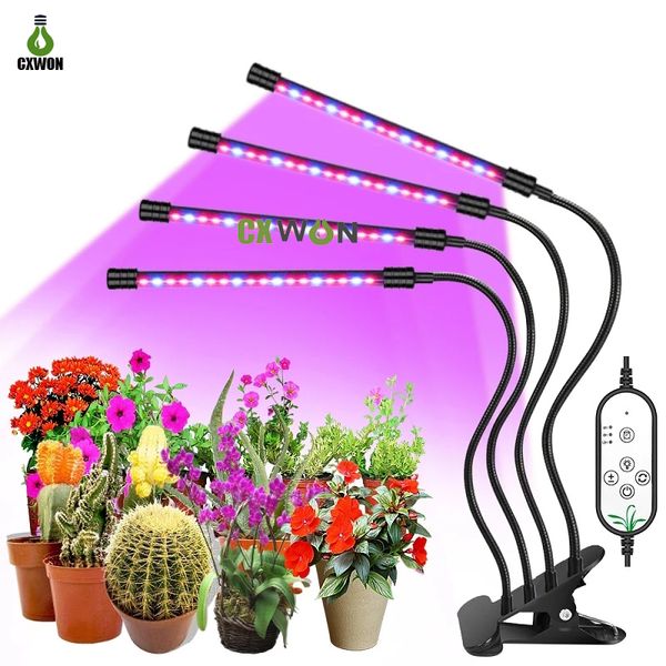 4head LED Grow Light Timer aggiornato Luci per piante a spettro completo Temporizzazione 4/8 / 12H 5 livelli dimmerabili PhytoLamp per interni Casa Giardino Idroponica Succulente