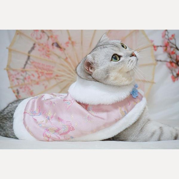 

cat costumes pet dog chinese embroidery cape cloak autumn and winter year clothes