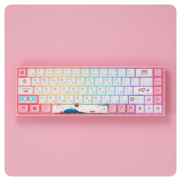 

keyboards r2 world tour 68 keys rgb 60% wired mechanical keyboard with pbt japanese keycaps nkro gateron switch