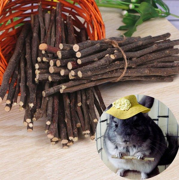 

molar branch 50g pack stick hamster my neighbor totoro guinea pig teeth small animal supplies