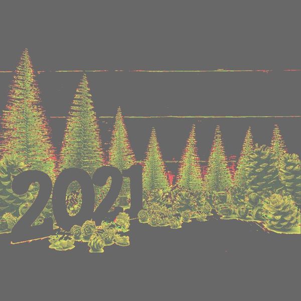 

party decoration 2021 happy year backdrop pine cones trees pography background festival celebration decor po booth props