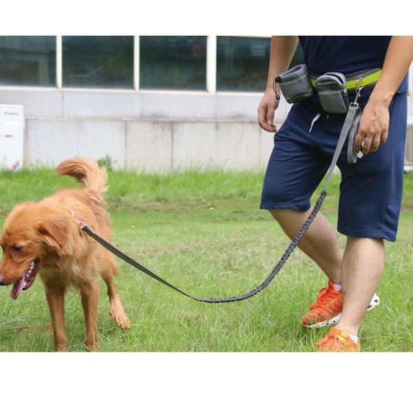 

reflective strip elastic leash training dog set hands pet cat running padded waist belt hyd88 collars & leashes