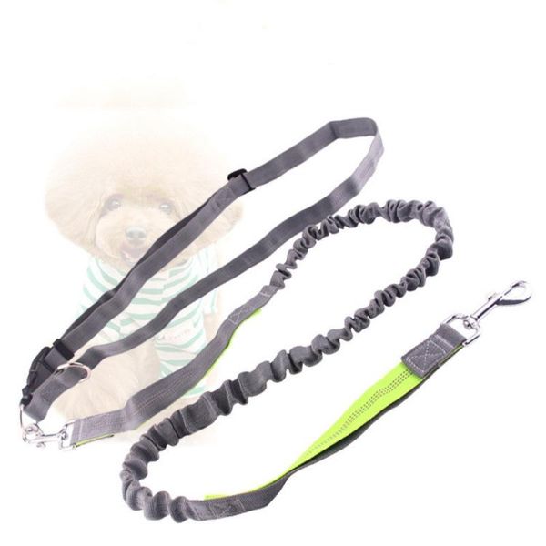 

pet supplies shrink leash running dog walking collars & leashes