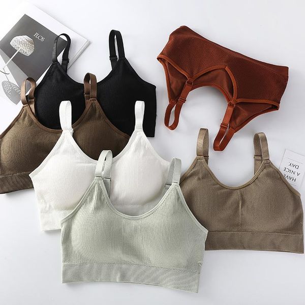 

cotton sports bras for women solid push up jogging gym female lady girls fitness running yoga bra underwear outfit