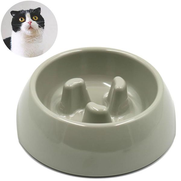 

pet bowl non-toxic pp resin stainless steel combo cat dog water storage feeder rice basin 6 color feeding supplies bowls & feeders